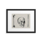 Illustrated and priced catalogue of superior surgical instruments Skull Sapine Ink Illustration Framed Art Print Gallery Image 5
