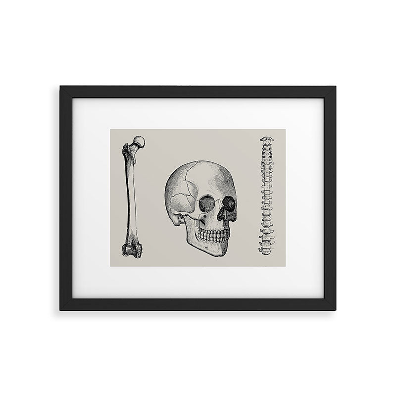 Illustrated and priced catalogue of superior surgical instruments Skull Sapine Ink Illustration Framed Art Print Gallery Image 5