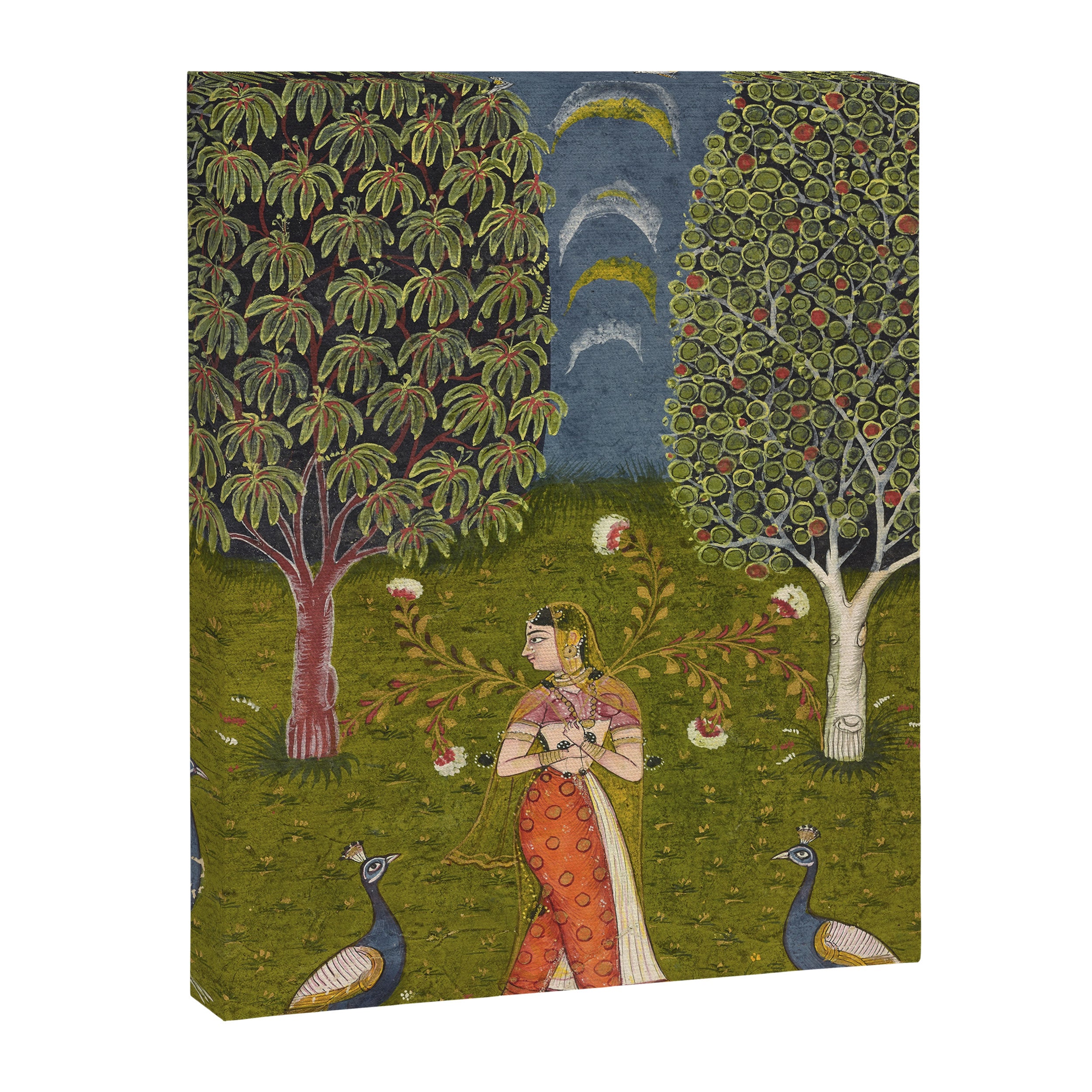 Indian Miniature Painted Illustration Princess In the Peacock Garden Floral Pose Canvas Print Gallery Image 8