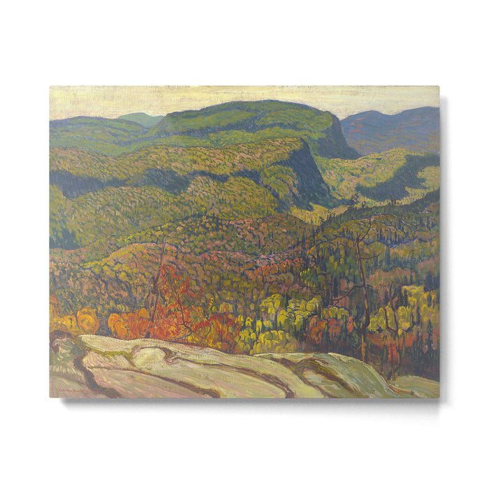 J.E.H. McDonald Forest Wilderness, 1921, McMichael Canadian Art Collection Metal Print Gallery Image 1