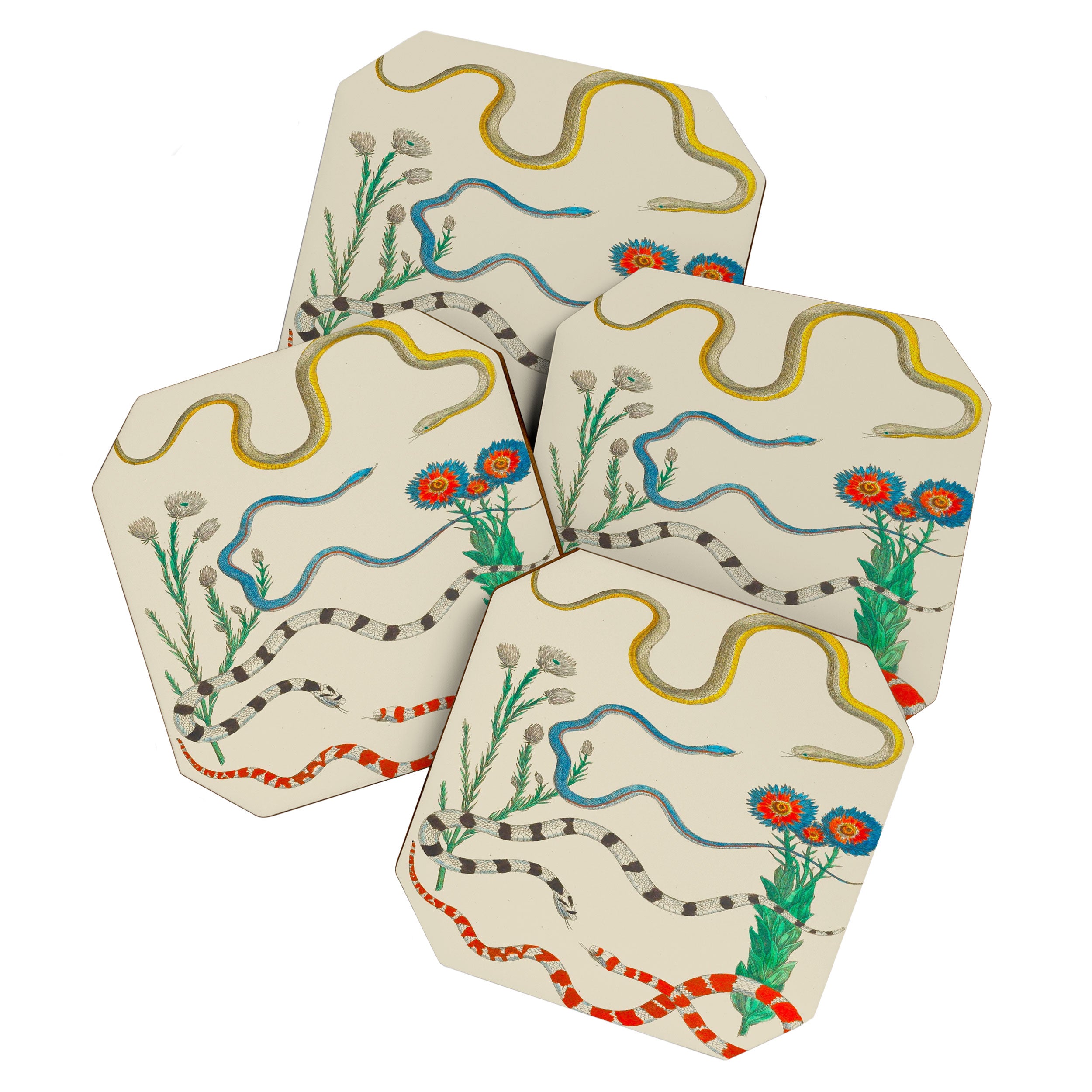 Locupletissimi rerum naturalium - vol. 2 - Albertus Seba Colorful Snake Floral Arrangement Coaster Gallery Image 1