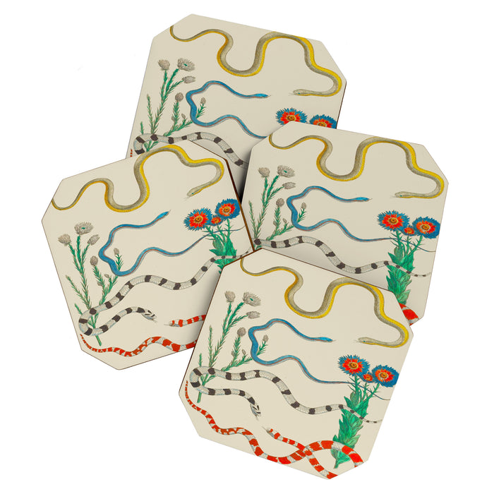 Locupletissimi rerum naturalium - vol. 2 - Albertus Seba Colorful Snake Floral Arrangement Coaster Gallery Image 1