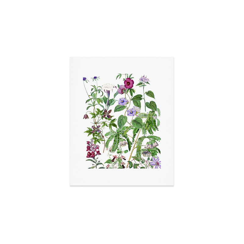 Marvelling In Mauve Botanical Illustration Art Print Gallery Image 1