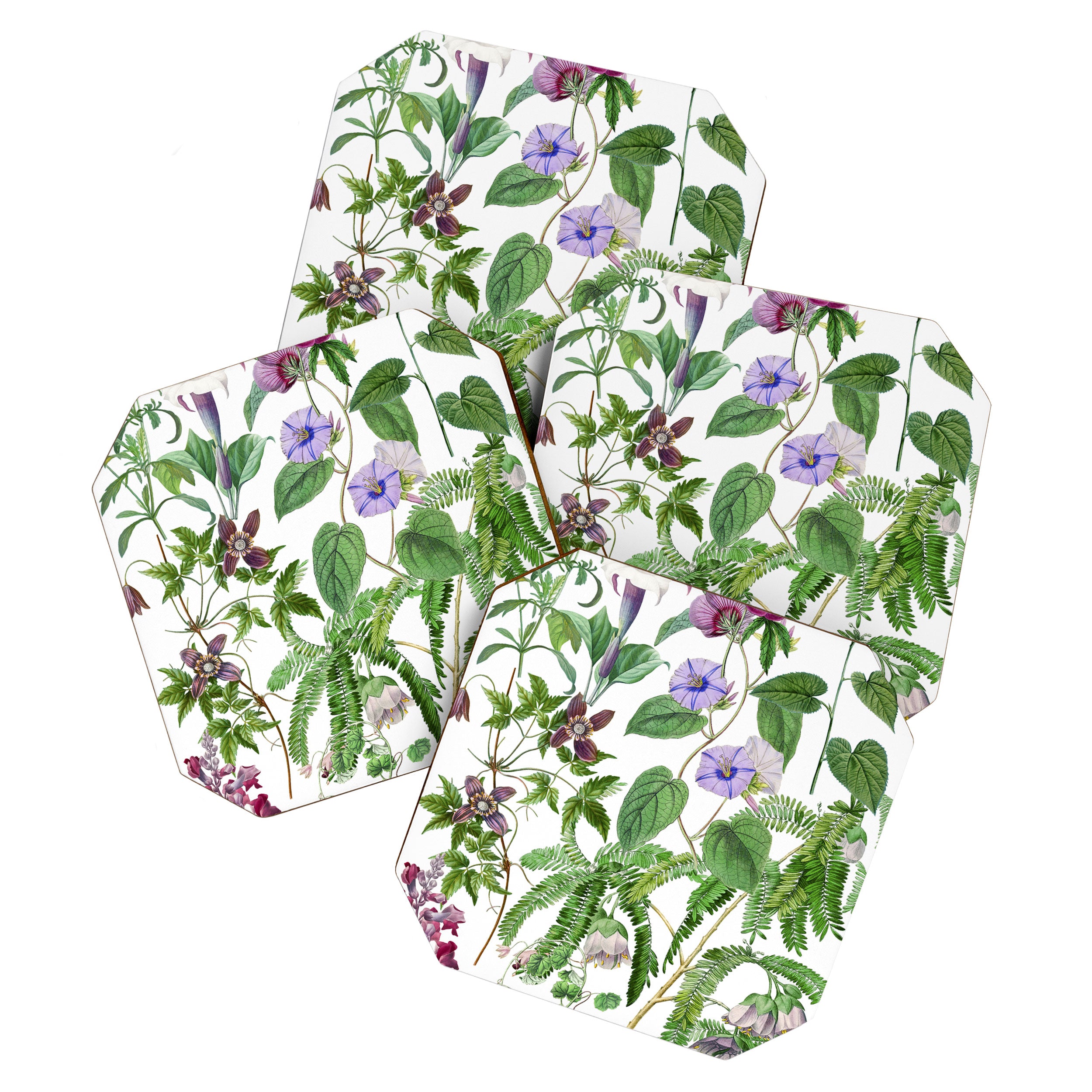 Marvelling In Mauve Botanical Illustration Coaster Gallery Image 1
