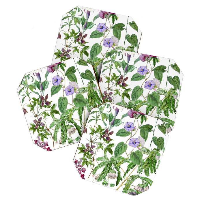 Marvelling In Mauve Botanical Illustration Coaster Gallery Image 1