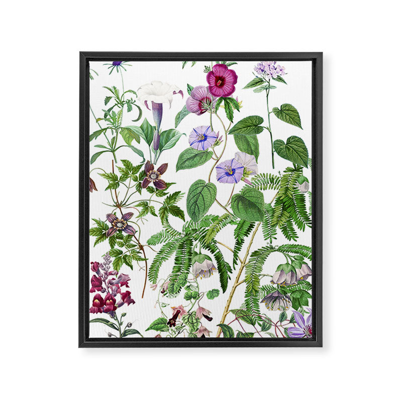 Marvelling In Mauve Botanical Illustration Framed Canvas Print Gallery Image 6