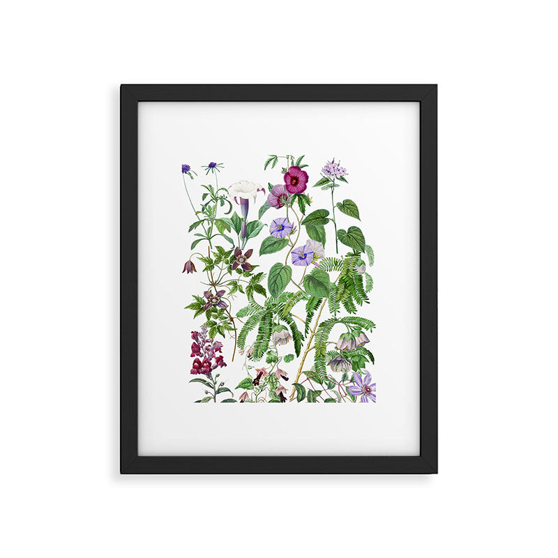 Marvelling In Mauve Botanical Illustration Framed Art Print Gallery Image 5