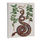 Mimosa Snake Seba Albertus Canvas Print Gallery Image 6