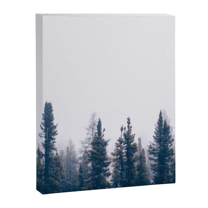 Minimalist Landscape Photo Pine Tree Silhouette Misty Forest Canvas Print Gallery Image 1