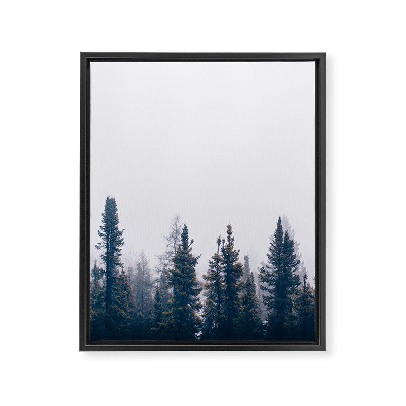 Minimalist Landscape Photo Pine Tree Silhouette Misty Forest Framed Canvas Print Gallery Image 6