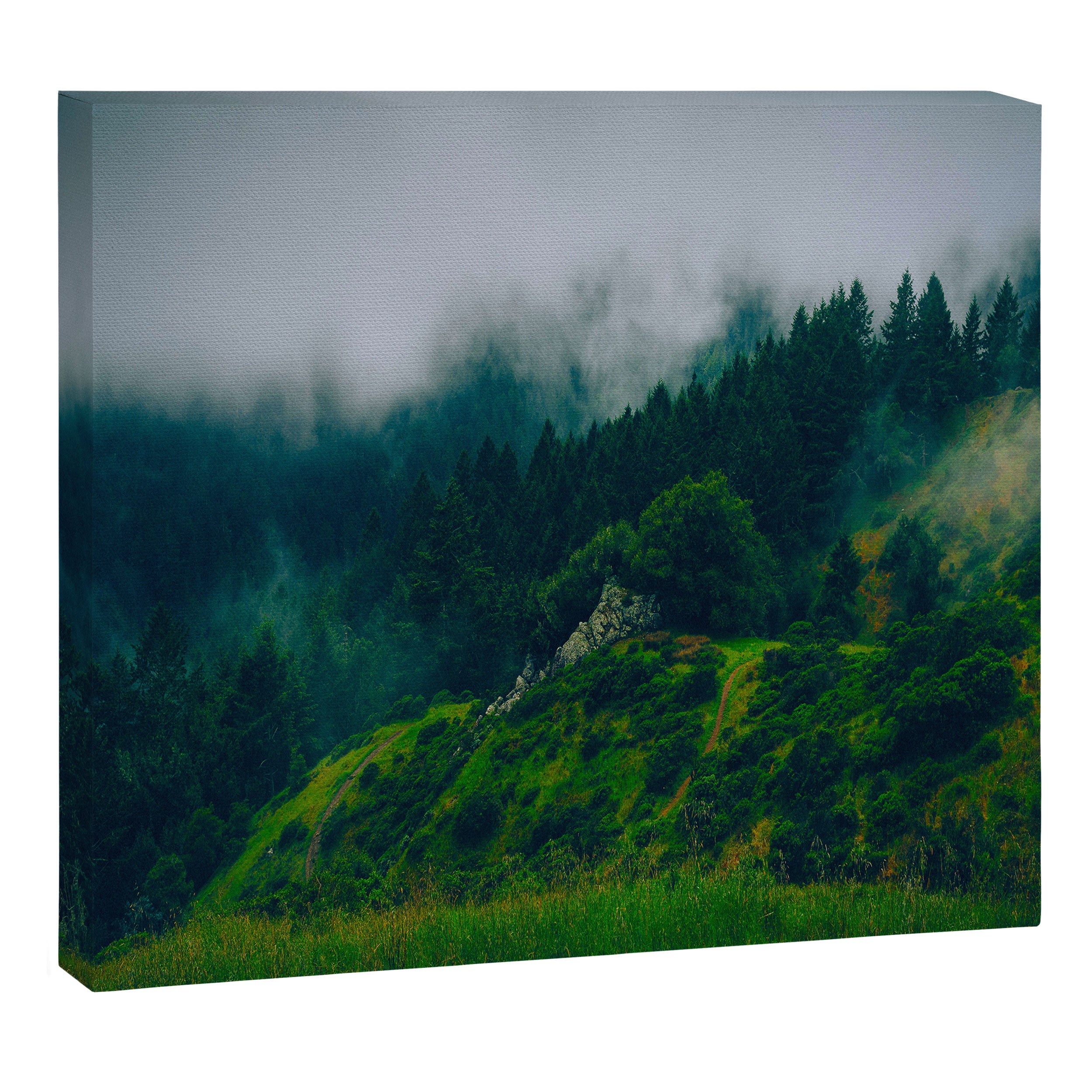 Moist Rainy Forest Pine Trees  Green Hills Canvas Print Gallery Image 12