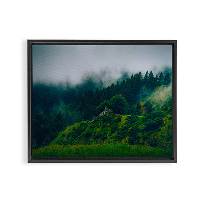 Moist Rainy Forest Pine Trees  Green Hills Framed Canvas Print Gallery Image 1