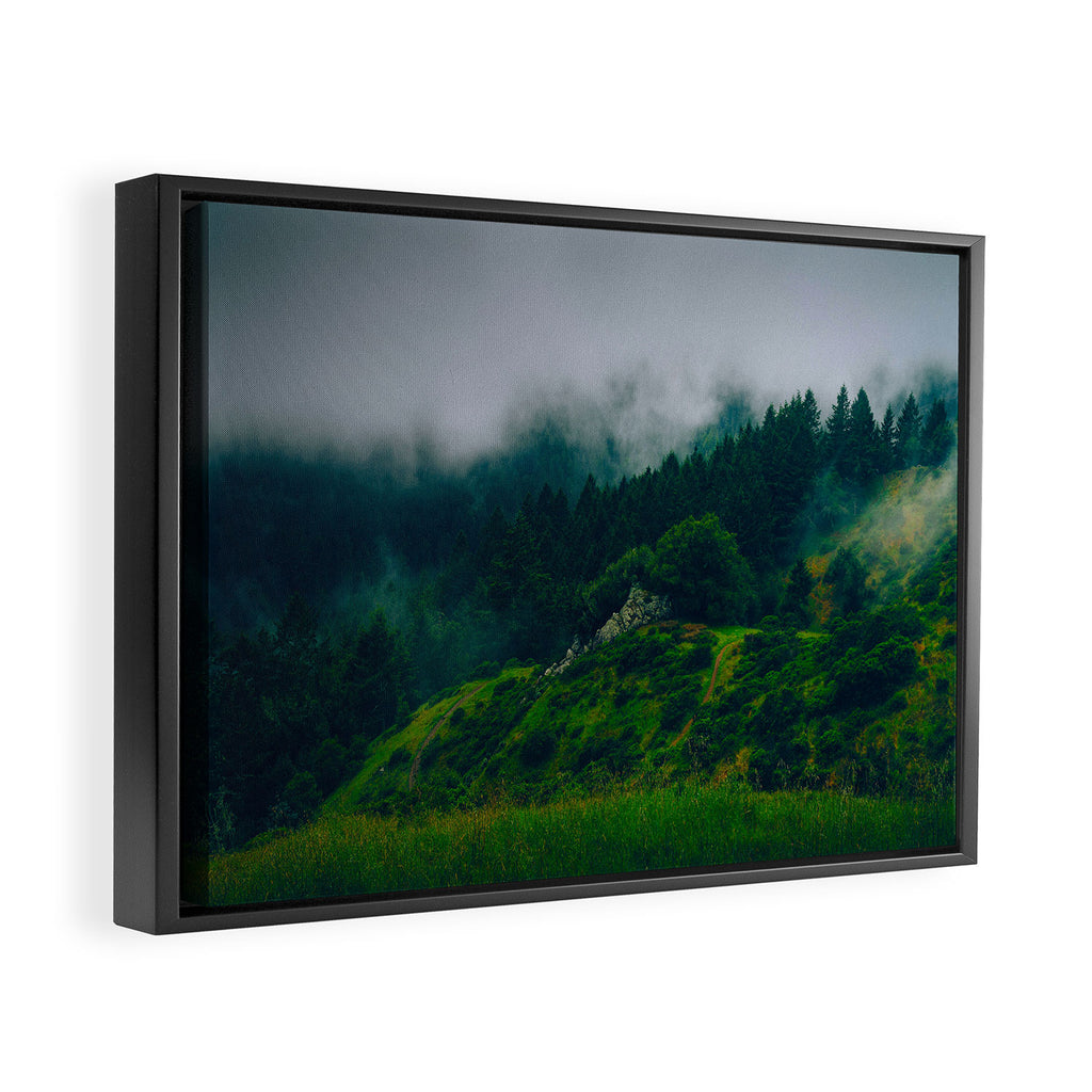 Moist Rainy Forest Pine Trees  Green Hills Framed Canvas Print Gallery Image 2