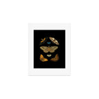 Moths Butterflies In Darkness Vintage Scientific Illustration Encyclopedia Diagram Art Print Gallery Image 1