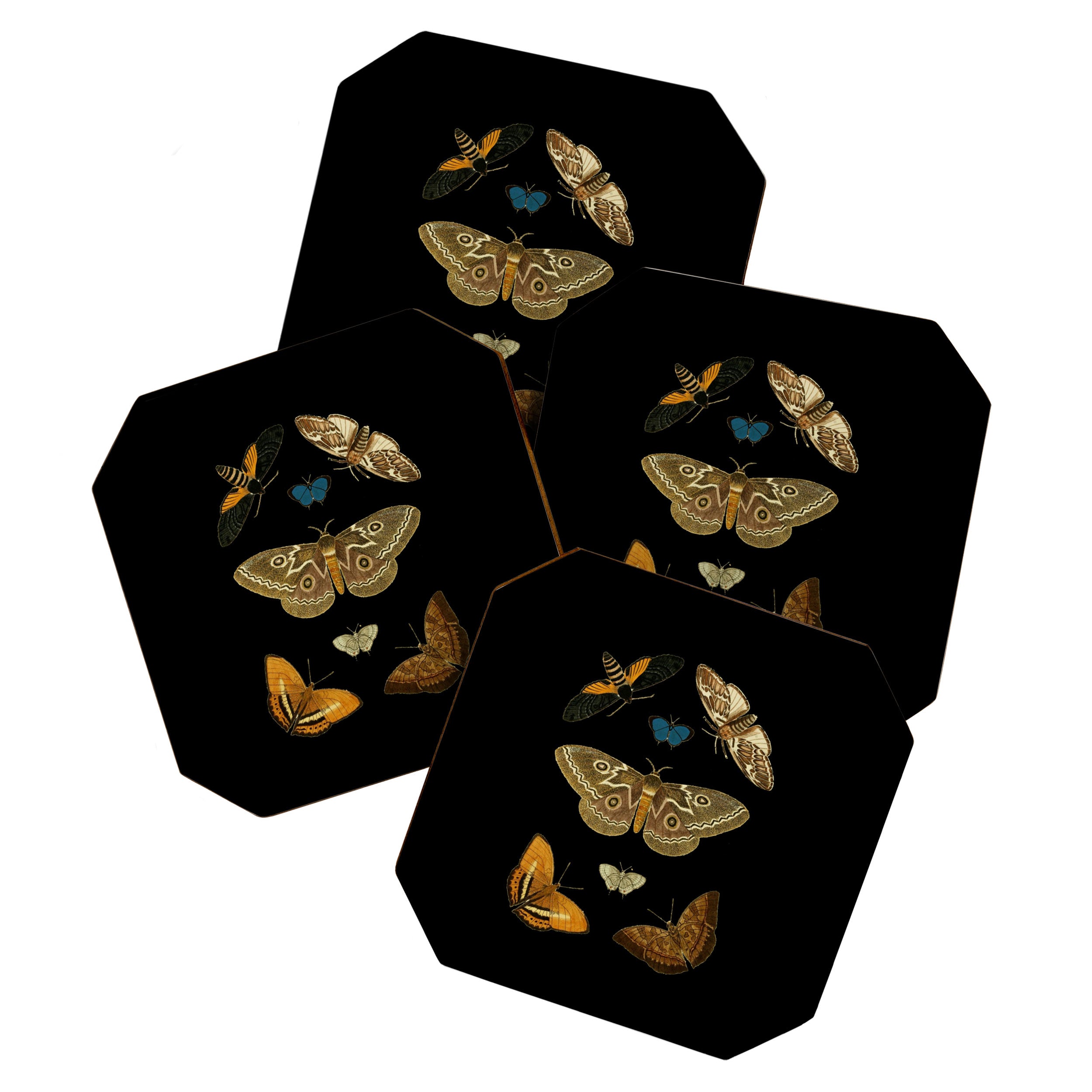 Moths Butterflies In Darkness Vintage Scientific Illustration Encyclopedia Diagram Coaster Gallery Image 1