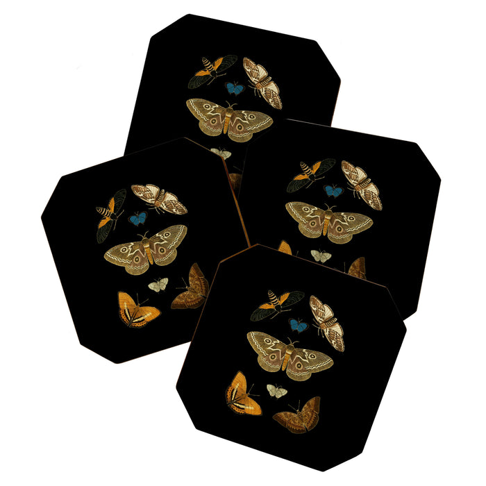 Moths Butterflies In Darkness Vintage Scientific Illustration Encyclopedia Diagram Coaster Gallery Image 1