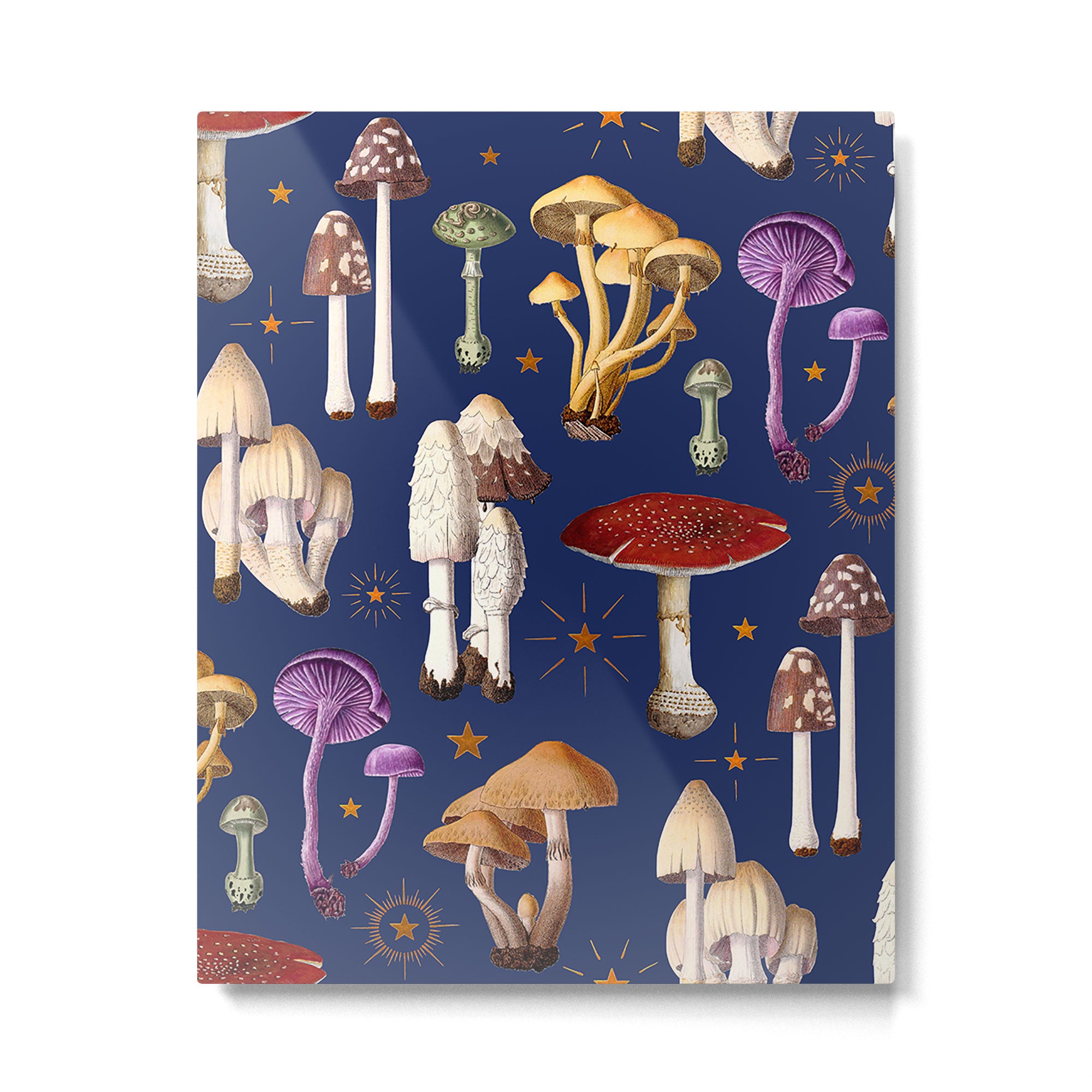 Mushroom Sparkle Metal Print Gallery Image 4