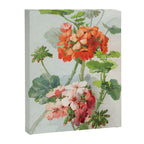 Panneaux de Fleurs  1900 Watercolor Geranium Illustration Canvas Print Gallery Image 6