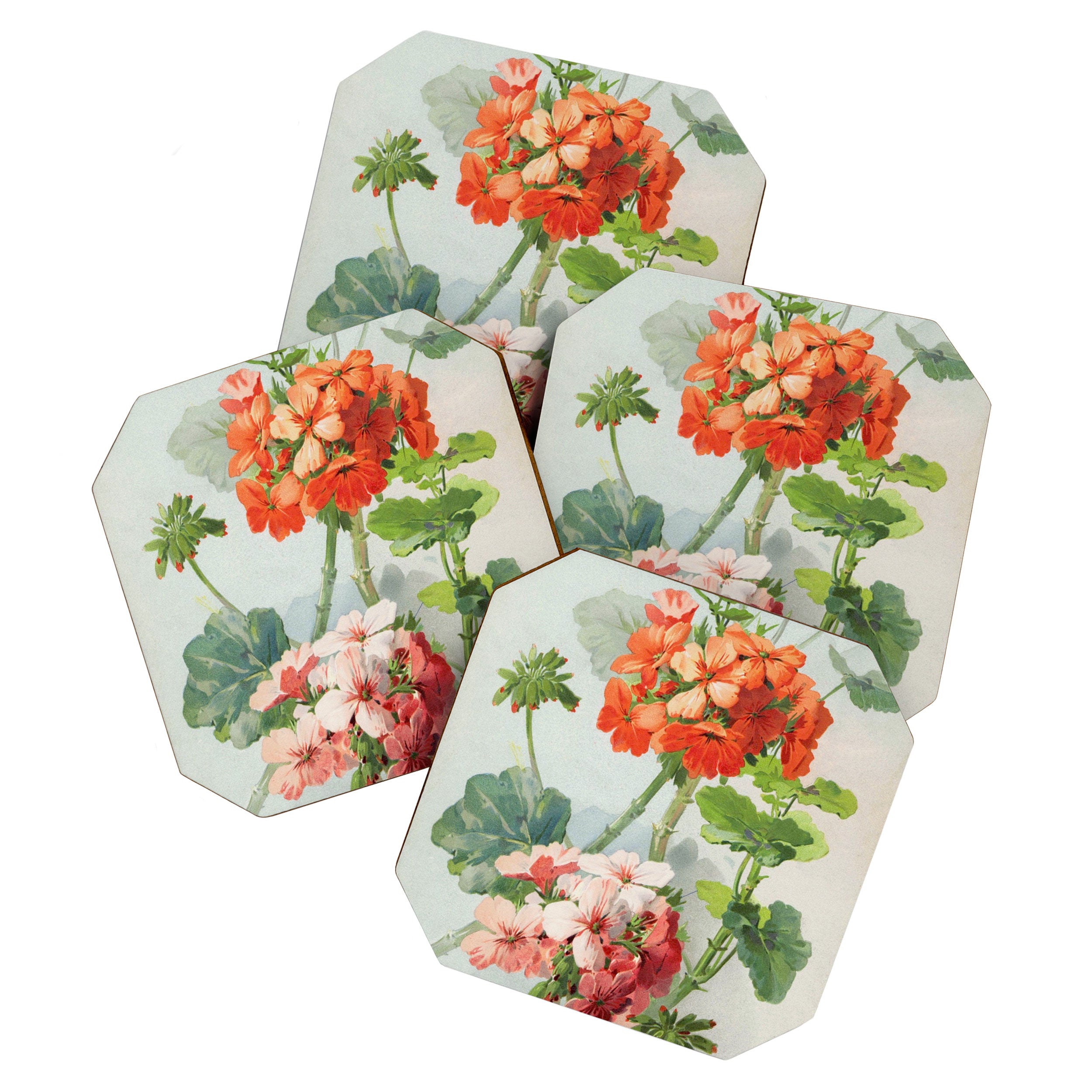 Panneaux de Fleurs  1900 Watercolor Geranium Illustration Coaster Gallery Image 1