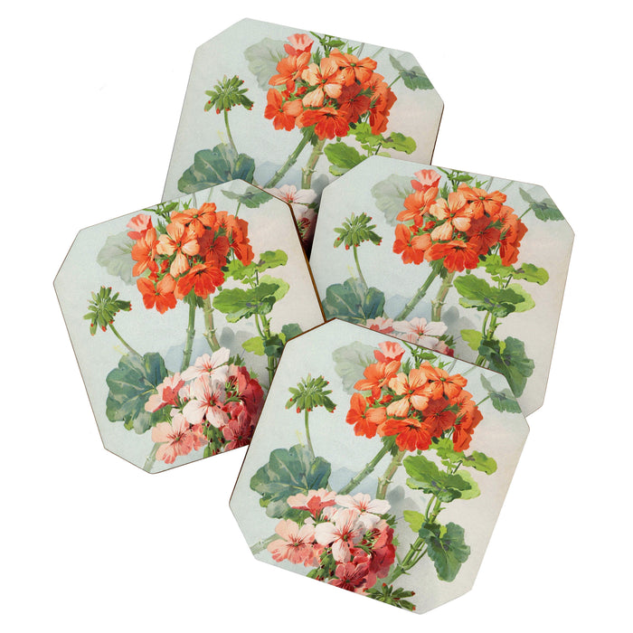 Panneaux de Fleurs  1900 Watercolor Geranium Illustration Coaster Gallery Image 1