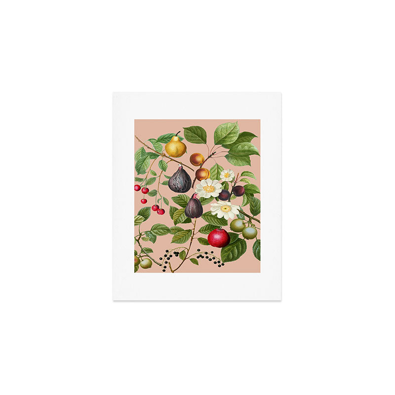 Peach Blossom  Art Print Gallery Image 1