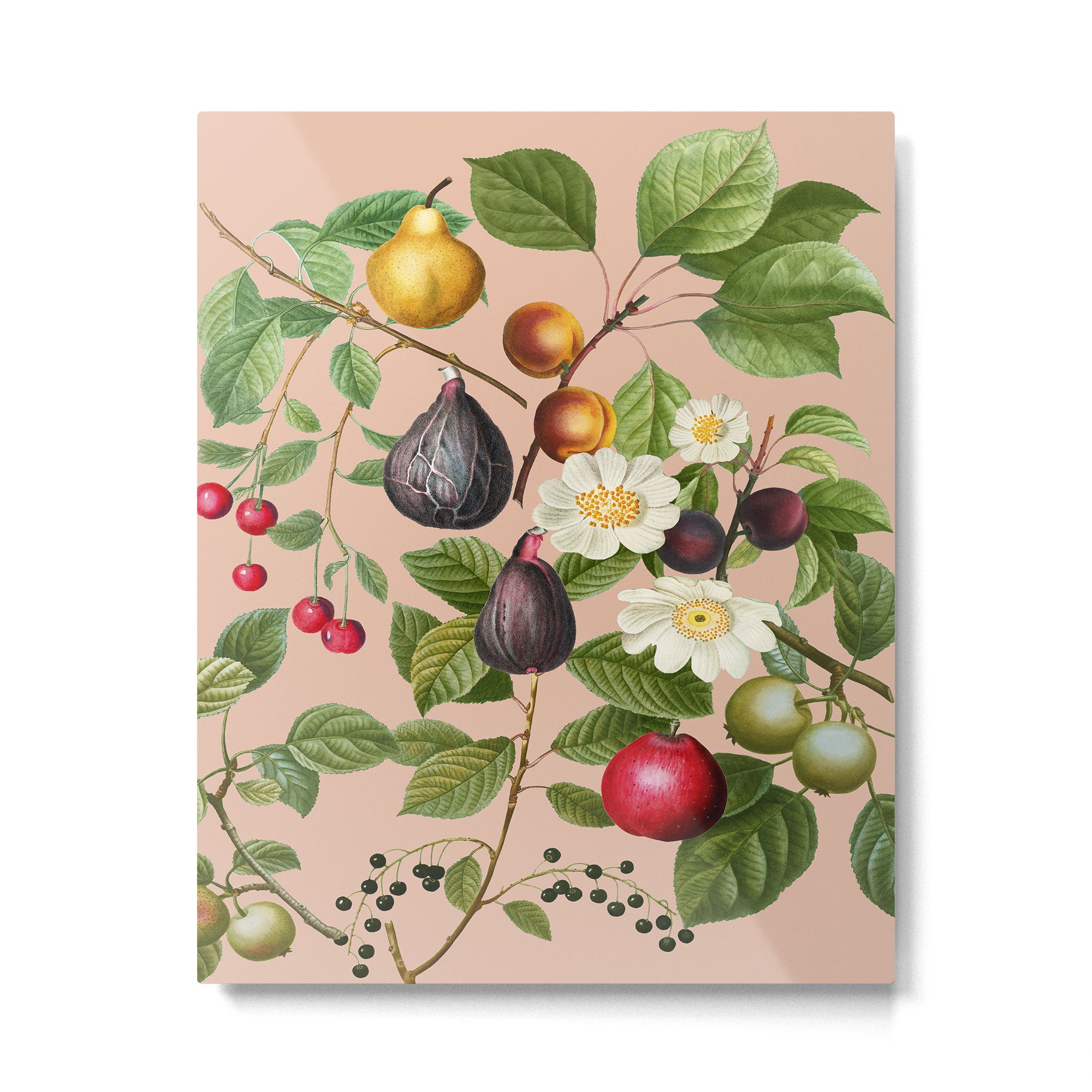 Peach Blossom  Metal Print Gallery Image 4