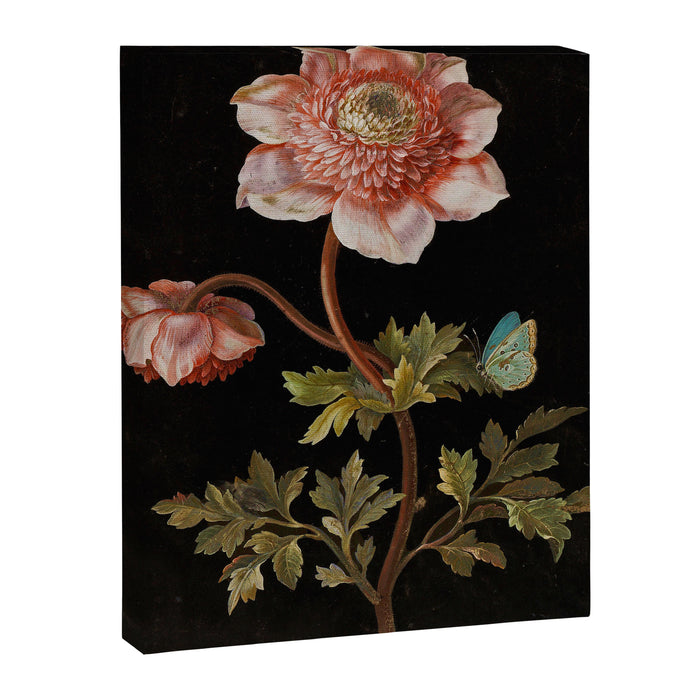 Peonies with a butterfly - Johann Christoph Bayer -1812- Antique Lifelike Botanical Nature Painting Canvas Print Gallery Image 1