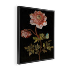 Peonies with a butterfly - Johann Christoph Bayer -1812- Antique Lifelike Botanical Nature Painting Framed Canvas Print Gallery Image 2