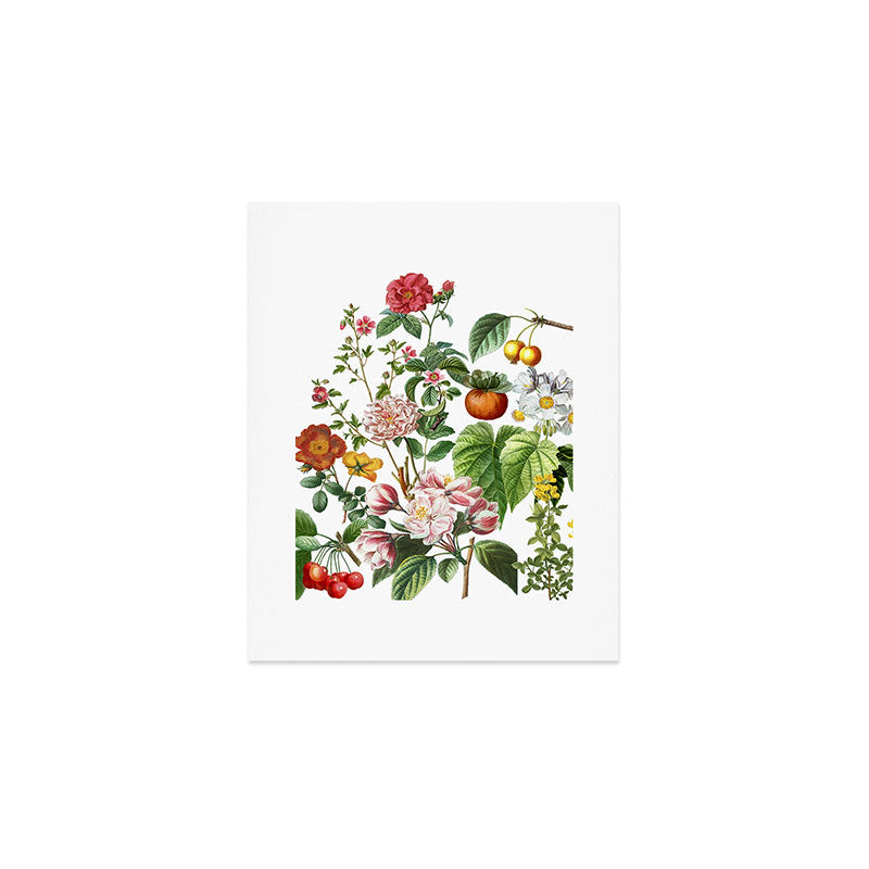 Persimmon Botanical Bloom Art Print Gallery Image 1