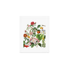 Persimmon Botanical Bloom Art Print Gallery Image 1