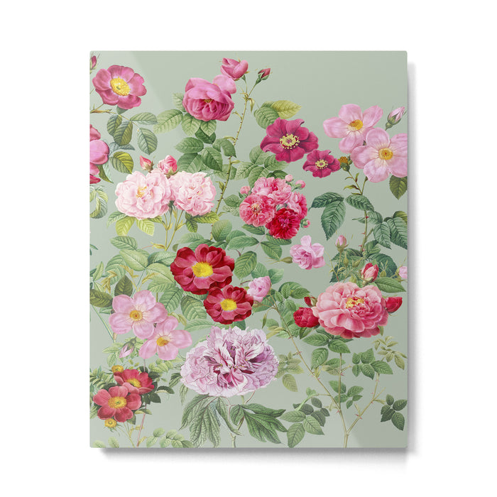 Pink Bloom Botanical Collage Metal Print Gallery Image 1