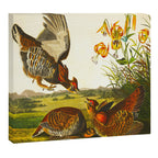 Pinnated Grouse Bird Canvas Print Gallery Image 12