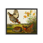 Pinnated Grouse Bird Framed Canvas Print Gallery Image 2