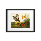 Pinnated Grouse Bird Framed Art Print Gallery Image 5