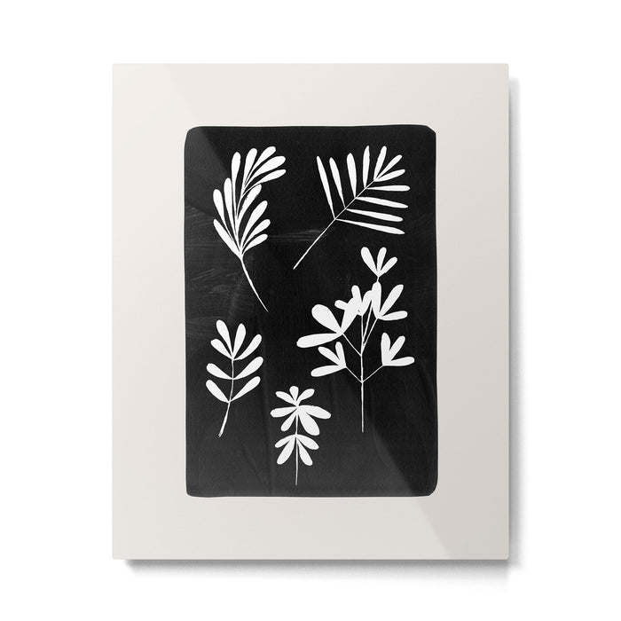 Plant Fossils Line Drawing Black Illustration Paper Collage Night Sky Minimalist Midcentury by Ejaaz Haniff  Metal Print Gallery Image 1