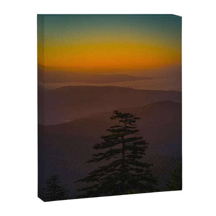 Pretty Pastel Yellow Red Green Sunset With Lone Pine Tree Silhouette Canvas Print Gallery Image 1