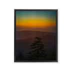 Pretty Pastel Yellow Red Green Sunset With Lone Pine Tree Silhouette Framed Canvas Print Gallery Image 6