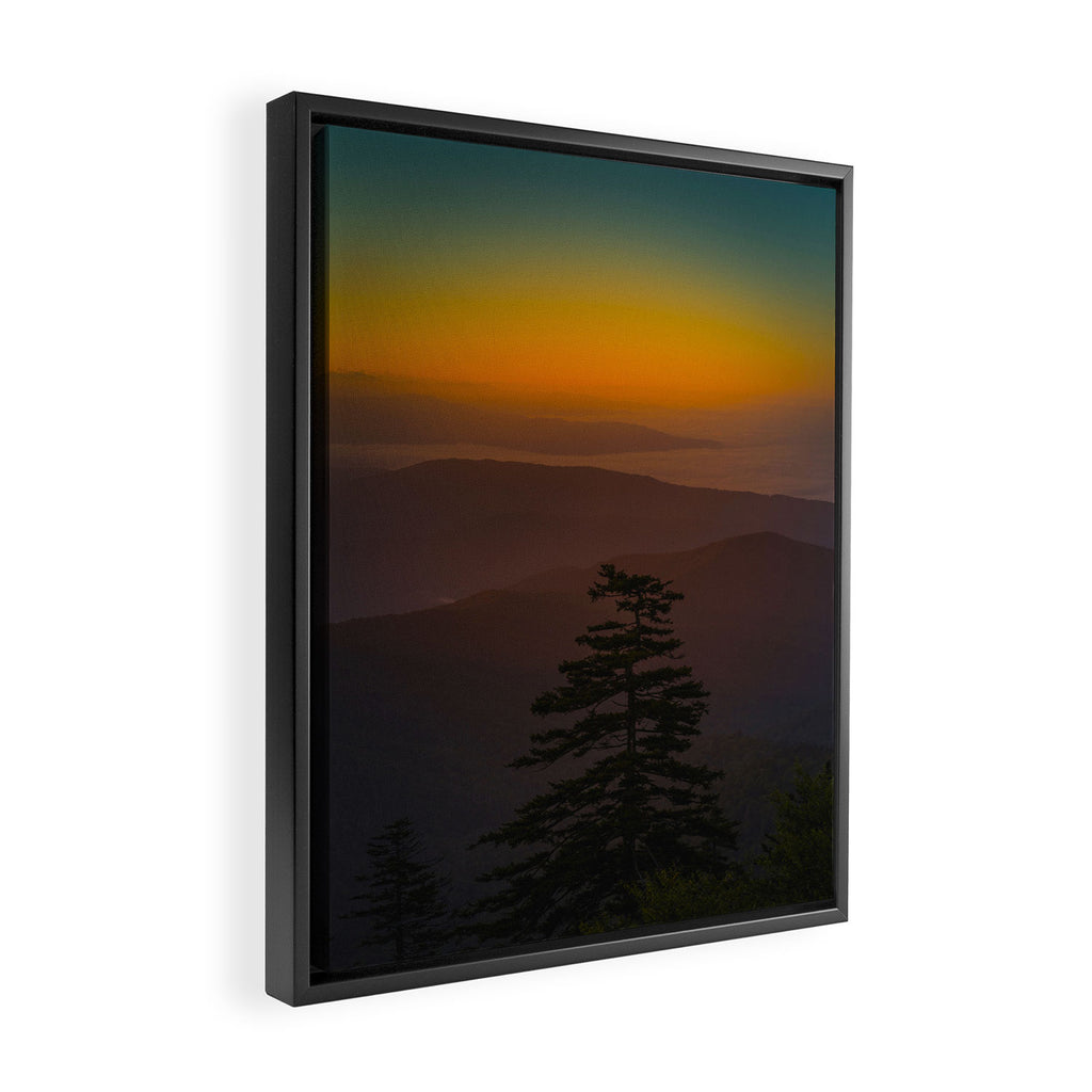 Pretty Pastel Yellow Red Green Sunset With Lone Pine Tree Silhouette Framed Canvas Print Gallery Image 2