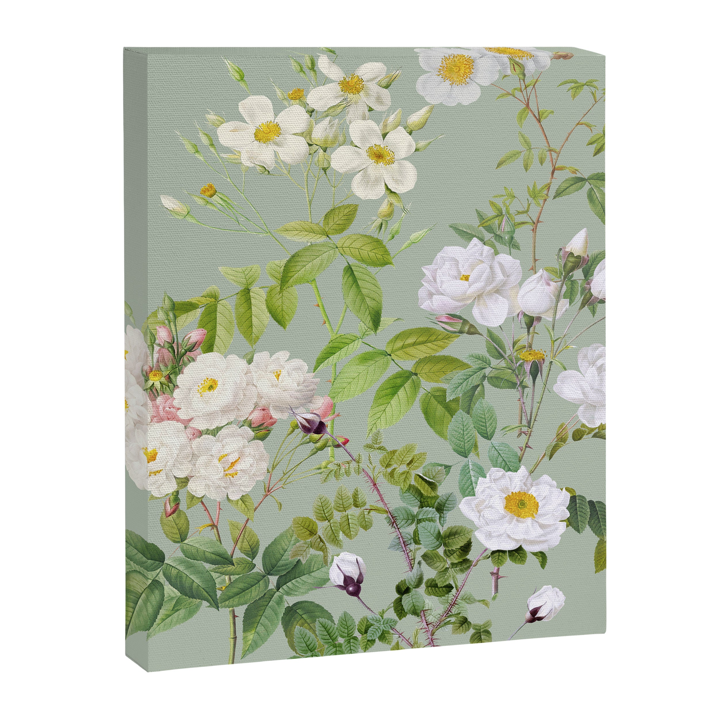 Purest Bloom Botanical Collage Canvas Print Gallery Image 6