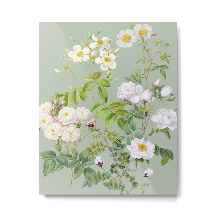 Purest Bloom Botanical Collage Metal Print Gallery Image 1