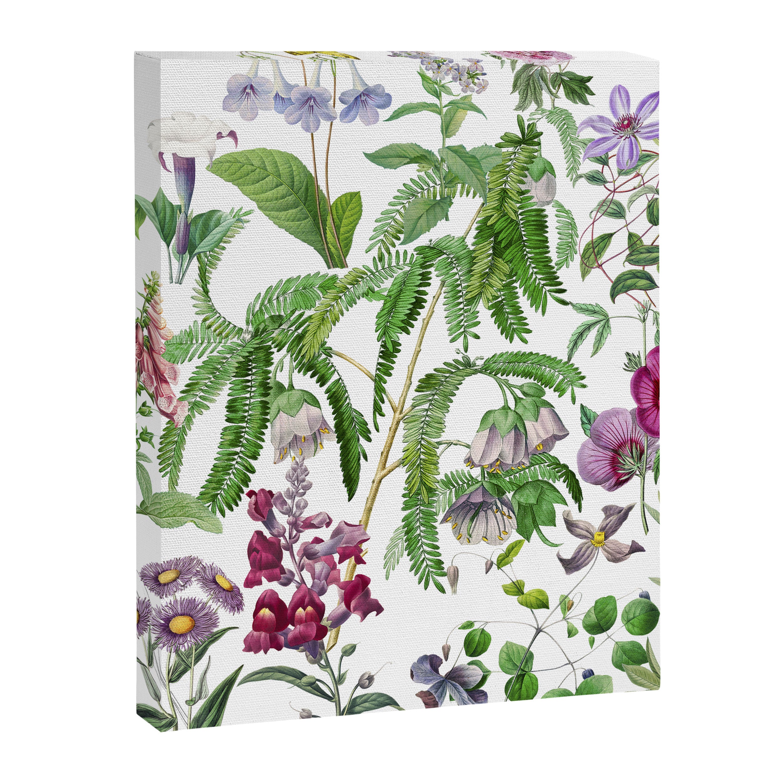 Purple Mimosa Canvas Print Gallery Image 6