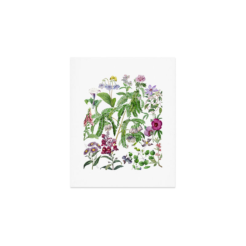 Purple Mimosa Art Print Gallery Image 1