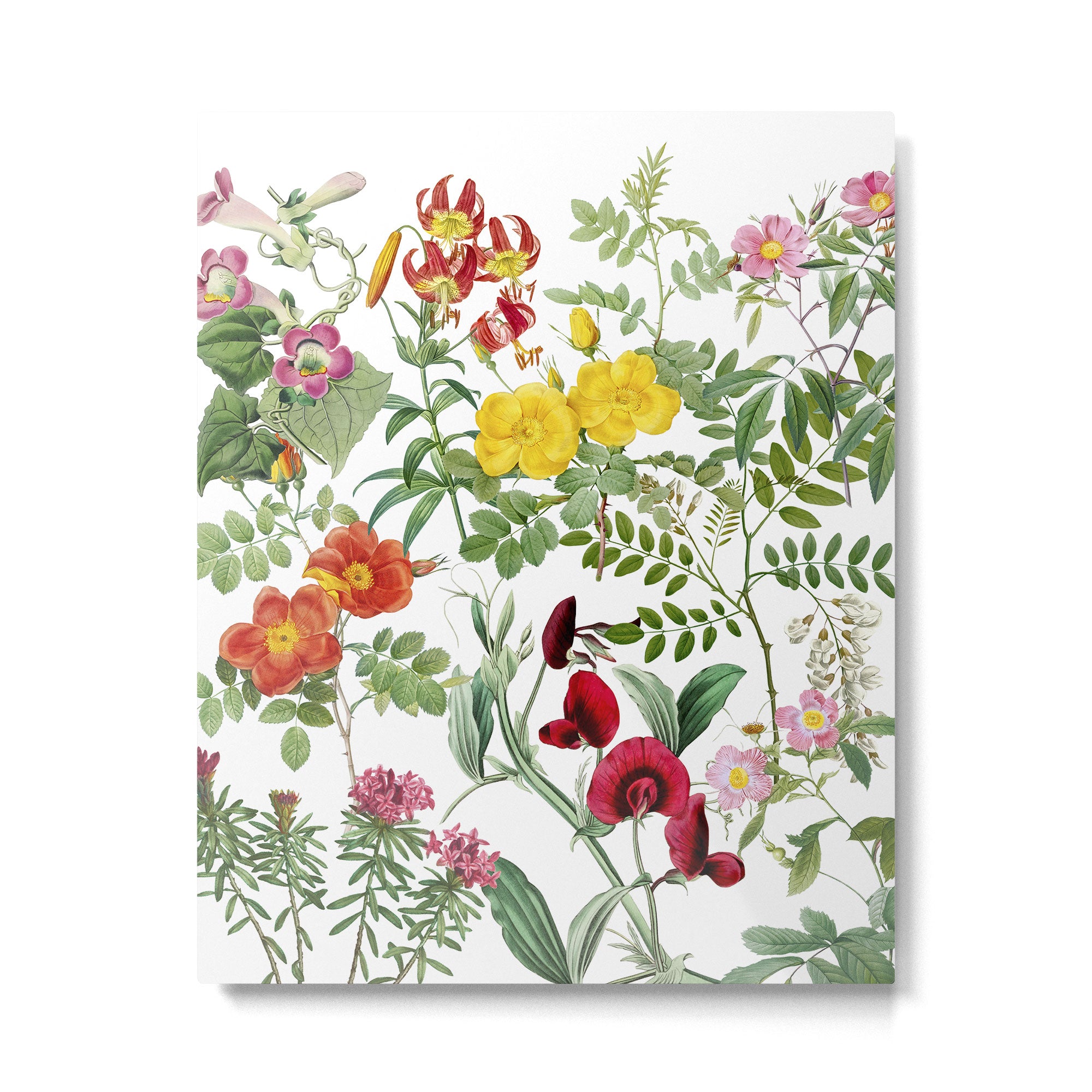 Redeeming Bloom Metal Print Gallery Image 4