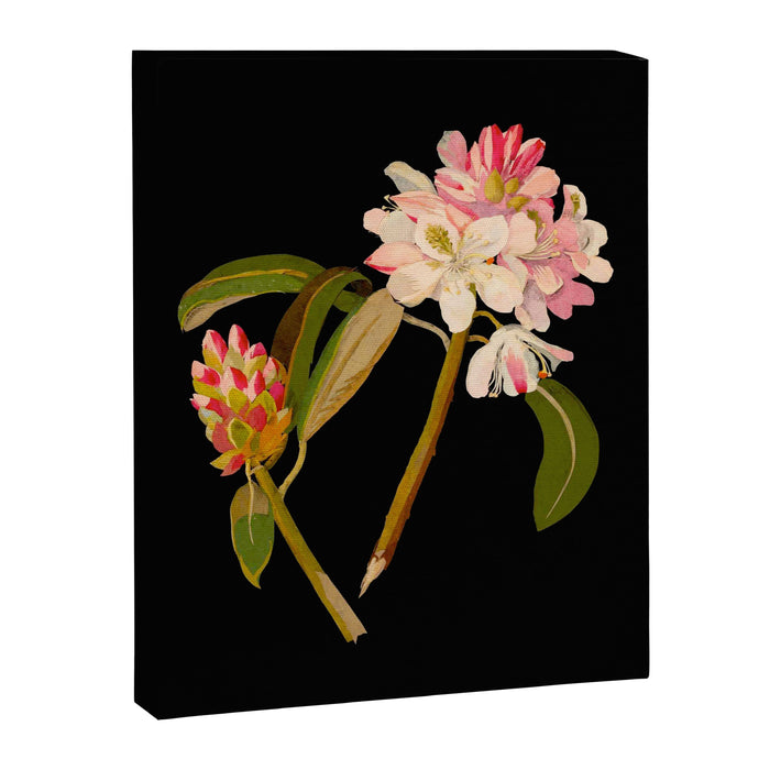 Rhododendron Maximum  by Mary Delany Paper Collage Floral Flower Botanical Paper Mosaic Vintage Scientific Plant Anatomy Canvas Print Gallery Image 1