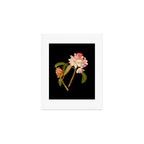 Rhododendron Maximum  by Mary Delany Paper Collage Floral Flower Botanical Paper Mosaic Vintage Scientific Plant Anatomy Art Print Gallery Image 1