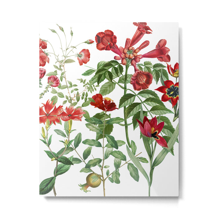 Rousing Red Botanical Metal Print Gallery Image 1