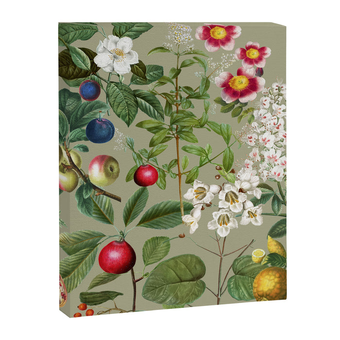 Sage Garden  Canvas Print Gallery Image 1