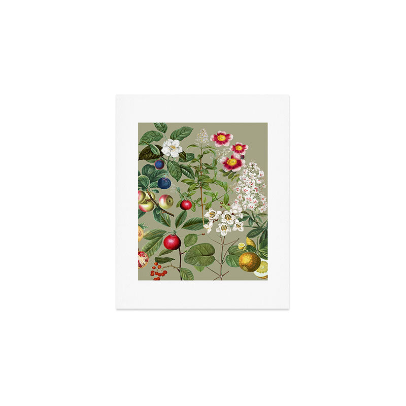 Sage Garden  Art Print Gallery Image 1