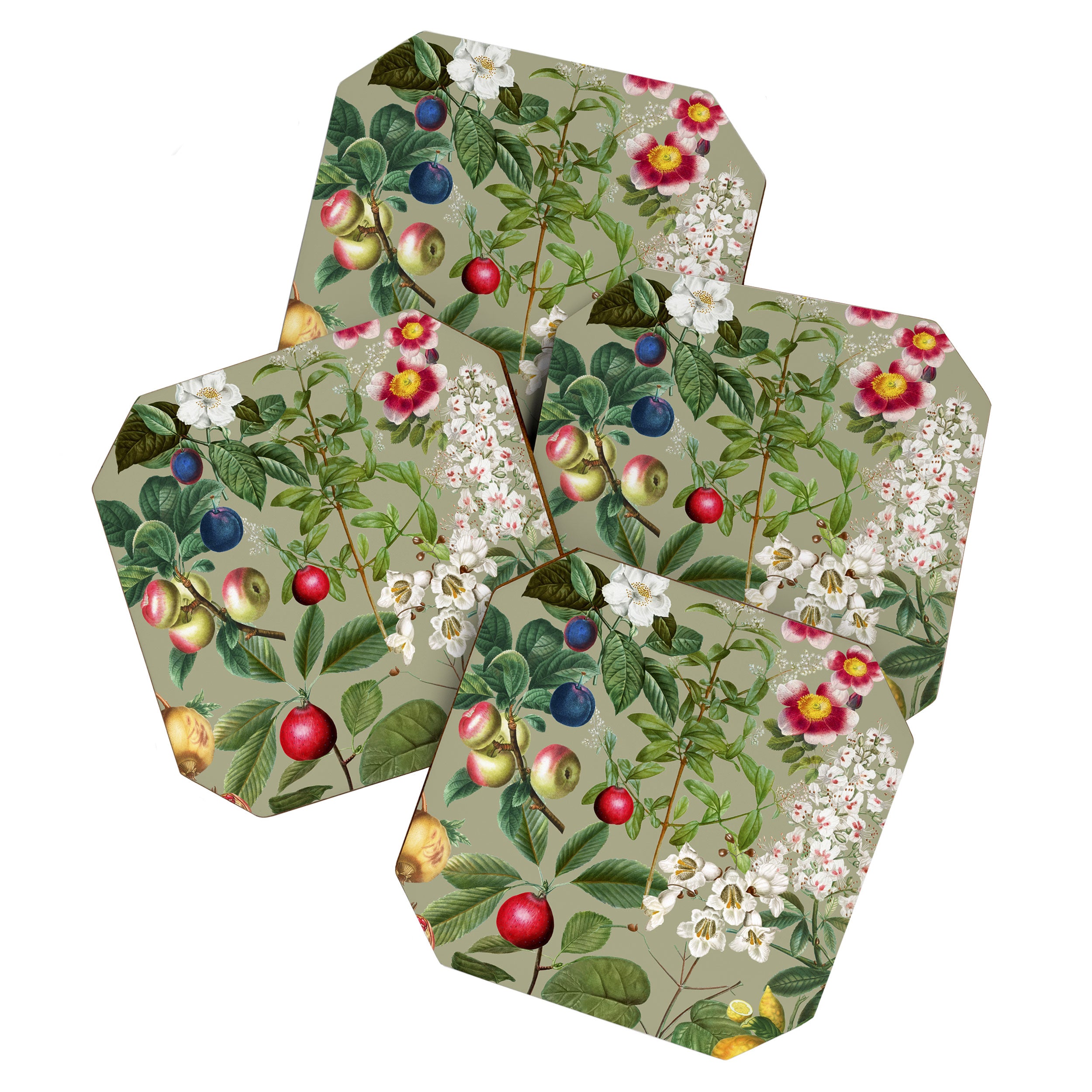 Sage Garden  Coaster Gallery Image 1