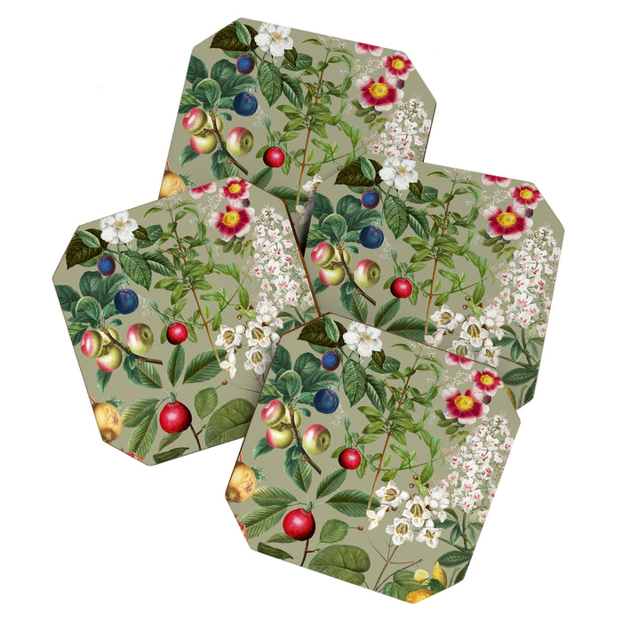 Sage Garden  Coaster Gallery Image 1